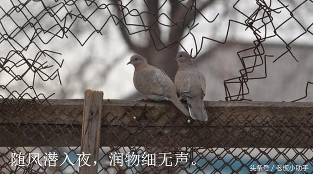 第954天：文案策劃分析商標(biāo)注冊：您的賺錢技巧在哪里？