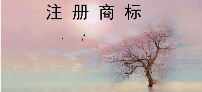 商標跨界保護也要面面俱到！