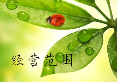 影視公司經營范圍