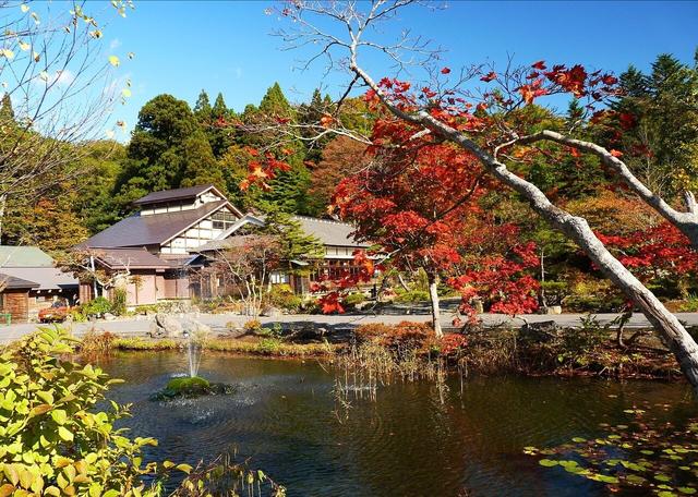 日本這次發“飆”了！中國企業申請注冊“AOMORI”商標