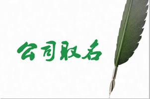 公司取名